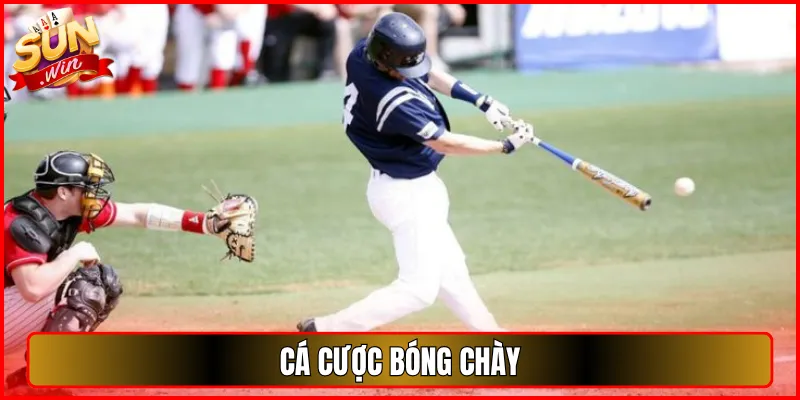 cá cược bóng chày