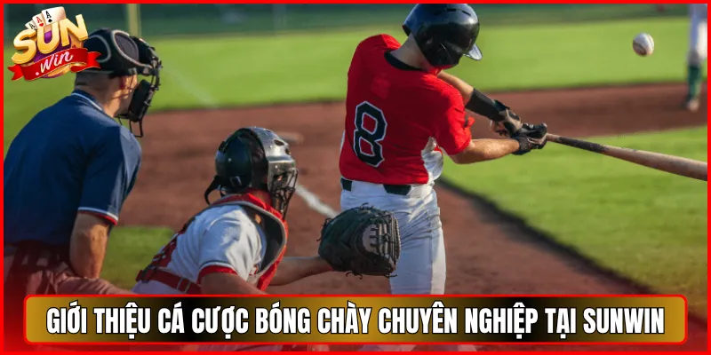 Giới Thiệu Cá Cược Bóng Chày Chuyên Nghiệp Tại Sunwin