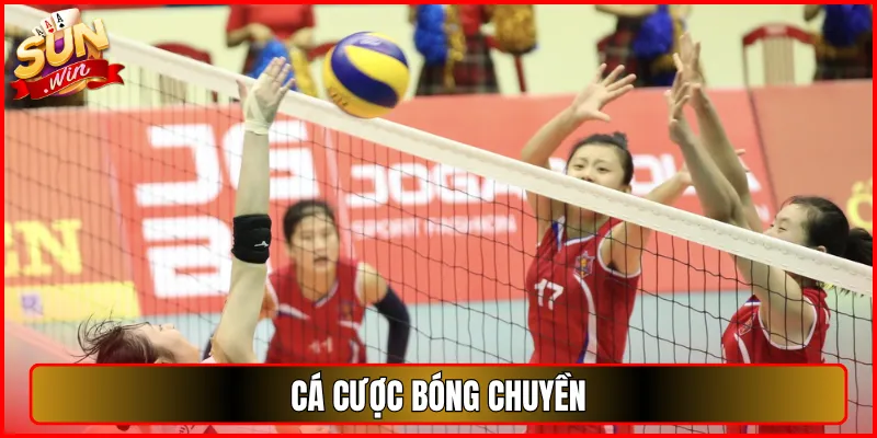 cá cược bóng chuyền