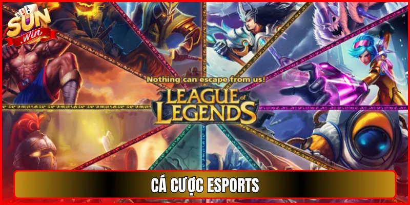 cá cược esports