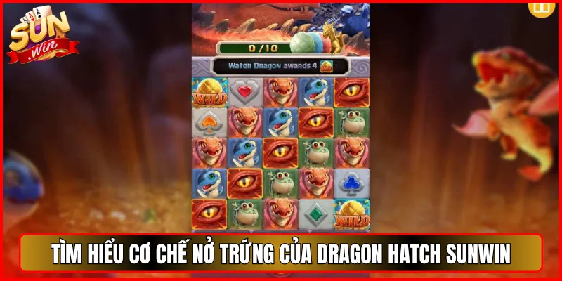 Tìm Hiểu Cơ Chế Nở Trứng của Dragon Hatch Sunwin