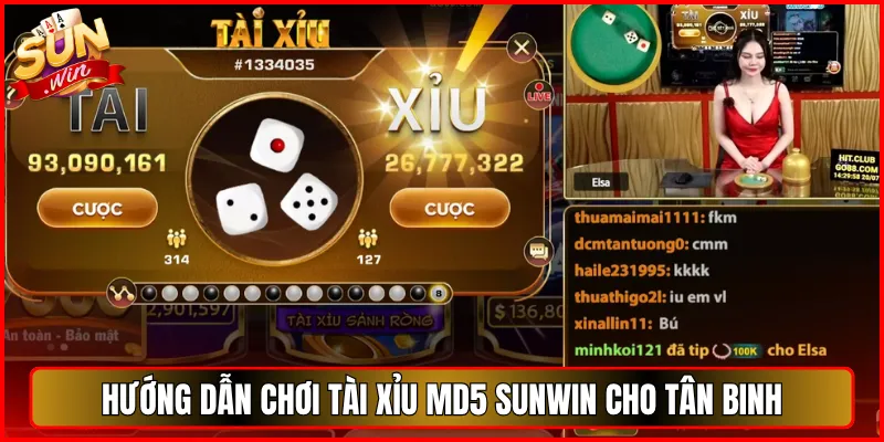 Hướng Dẫn Chơi Tài Xỉu MD5 Sunwin Cho Tân Binh